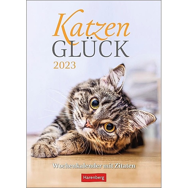 Katzenglück Wochenkalender 2023. Jede Woche eine süße Katze in dem kleinen Fotokalender. Passende Zitate und niedliche F