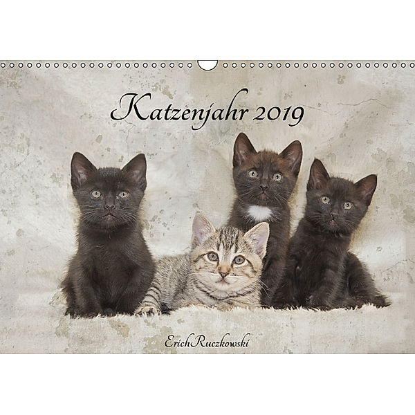 Katzenjahr 2019 (Wandkalender 2019 DIN A3 quer), Erich Ruczkowski
