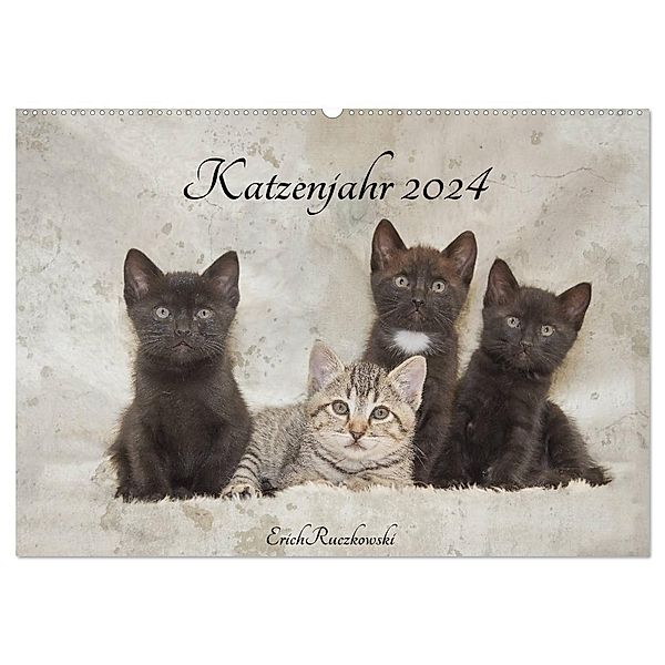 Katzenjahr 2024 (Wandkalender 2024 DIN A2 quer), CALVENDO Monatskalender, Erich Ruczkowski