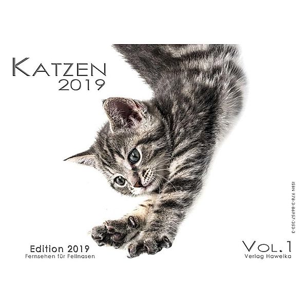 Katzenkalender 2019 A4