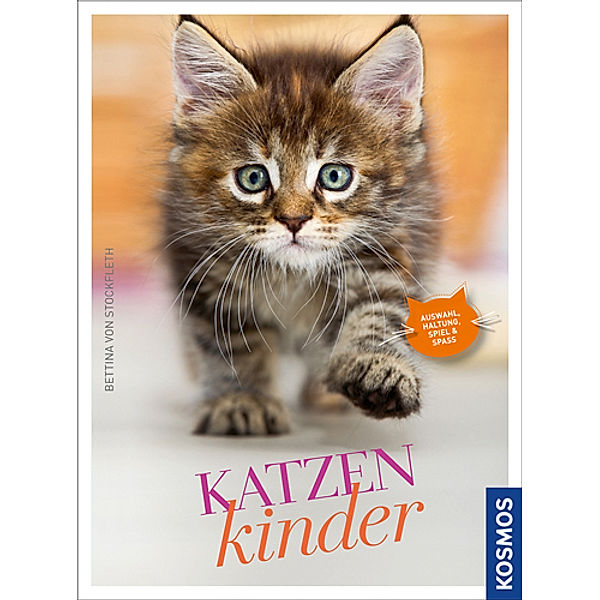 Katzenkinder, Bettina von Stockfleth