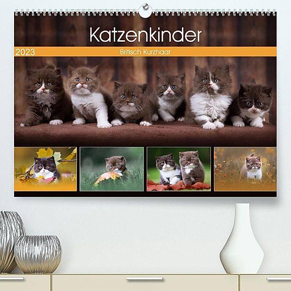 Katzenkinder - Britisch Kurzhaar (Premium, hochwertiger DIN A2 Wandkalender 2023, Kunstdruck in Hochglanz), Wabi Sabi Fotografie by Janina Bürger