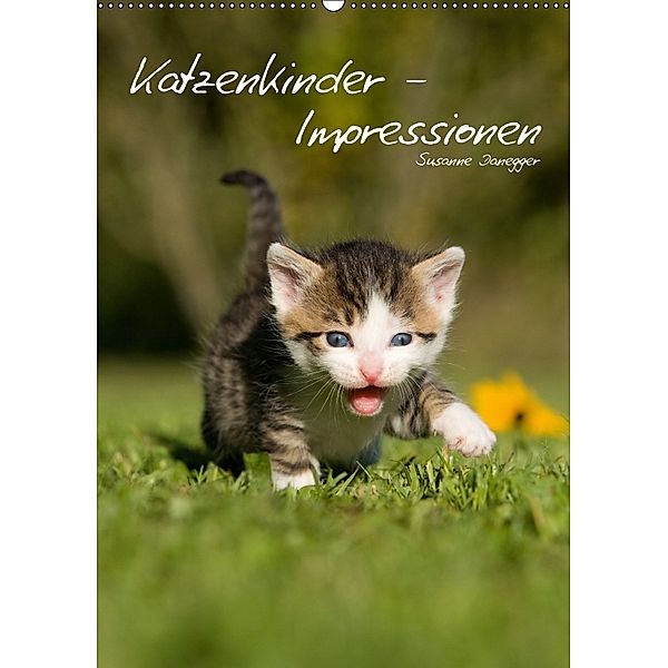 Katzenkinder - Impressionen (Wandkalender 2018 DIN A2 hoch), Susanne Danegger