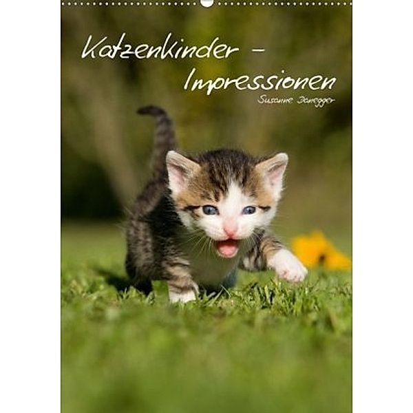 Katzenkinder - Impressionen (Wandkalender 2020 DIN A2 hoch), Susanne Danegger