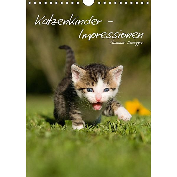 Katzenkinder - Impressionen (Wandkalender 2021 DIN A4 hoch), Susanne Danegger