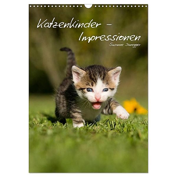 Katzenkinder - Impressionen (Wandkalender 2024 DIN A3 hoch), CALVENDO Monatskalender, Susanne Danegger