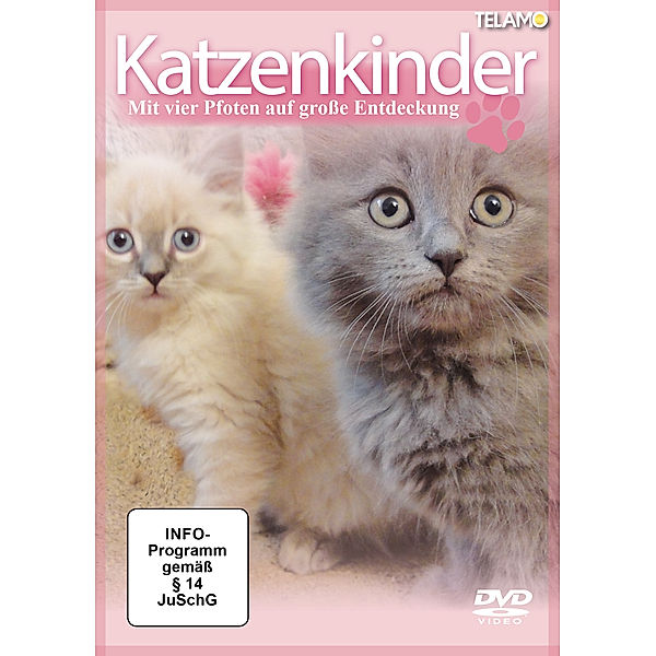 Katzenkinder - Mit vier Pfoten auf große Entdeckung