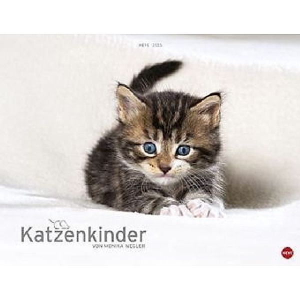 Katzenkinder Posterkalender 2015, Monika Wegler