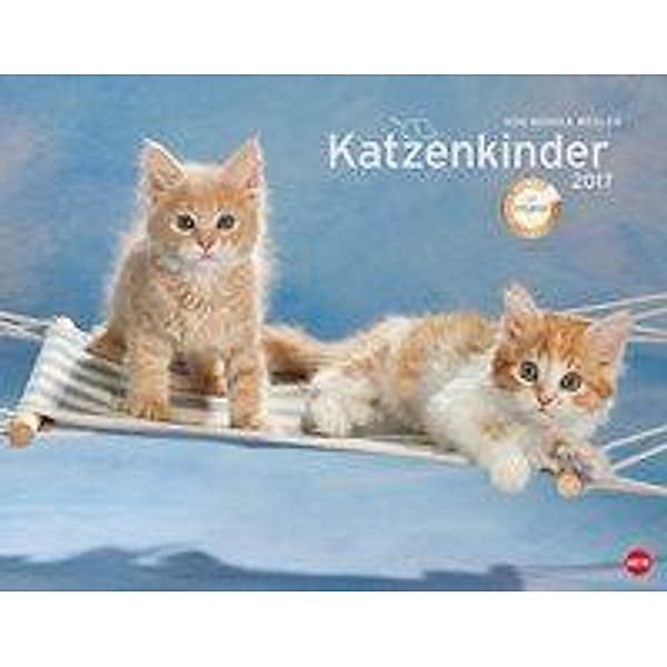 Katzenkinder Posterkalender 2017, Monika Wegler