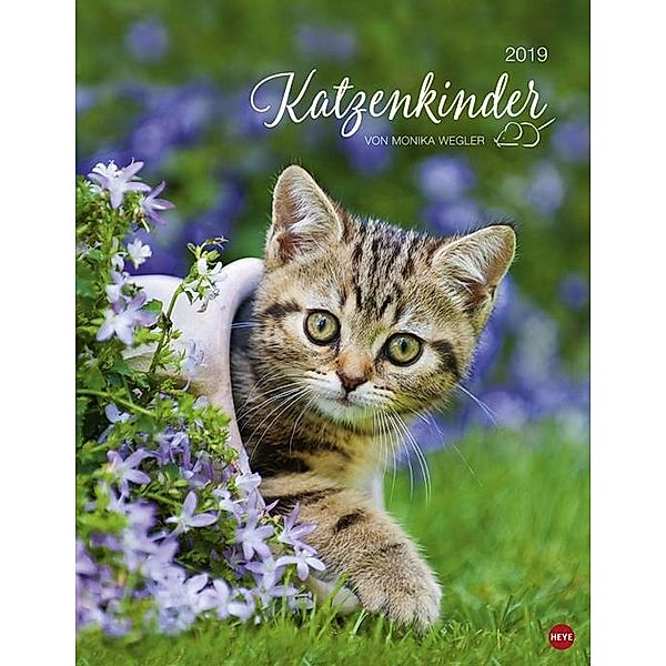 Katzenkinder Posterkalender 2019, Monika Wegler