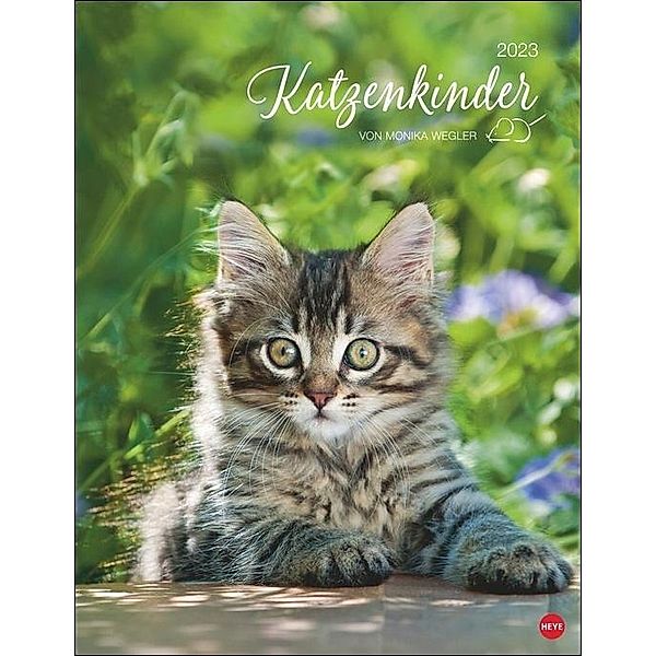 Katzenkinder Posterkalender 2023 von Monika Wegler. Unwiderstehliche Katzenbabys im Porträt. Ein grosser Wandkalender mit, Monika Wegler