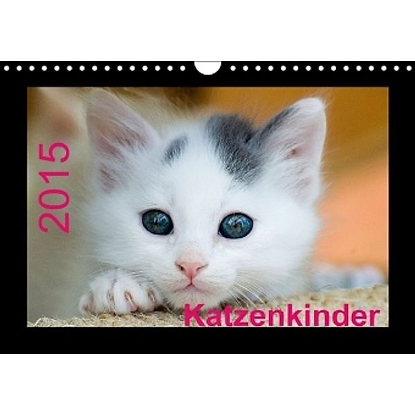 Katzenkinder (Wandkalender 2015 DIN A4 quer), Michael Weirauch