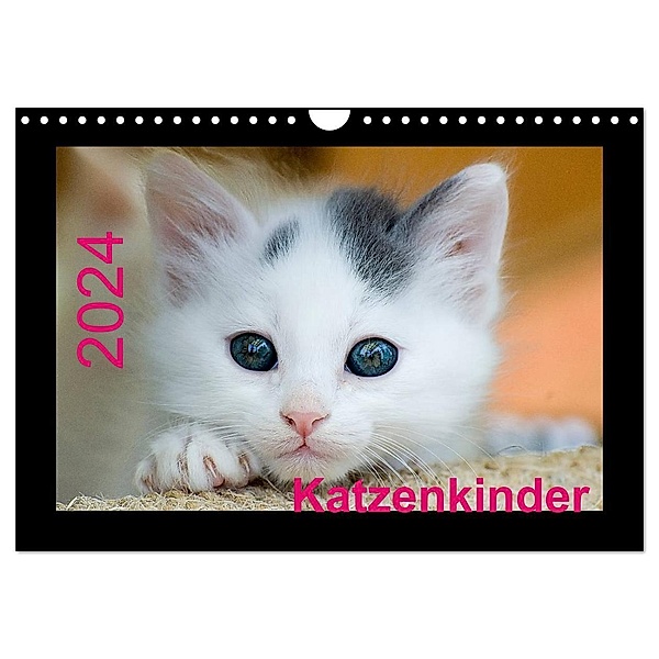 Katzenkinder (Wandkalender 2024 DIN A4 quer), CALVENDO Monatskalender, Michael Weirauch