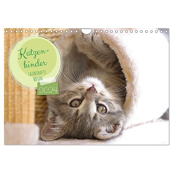 Katzenkinder - zauberhafte Wesen (Wandkalender 2024 DIN A4 quer), CALVENDO Monatskalender, Angela Merk
