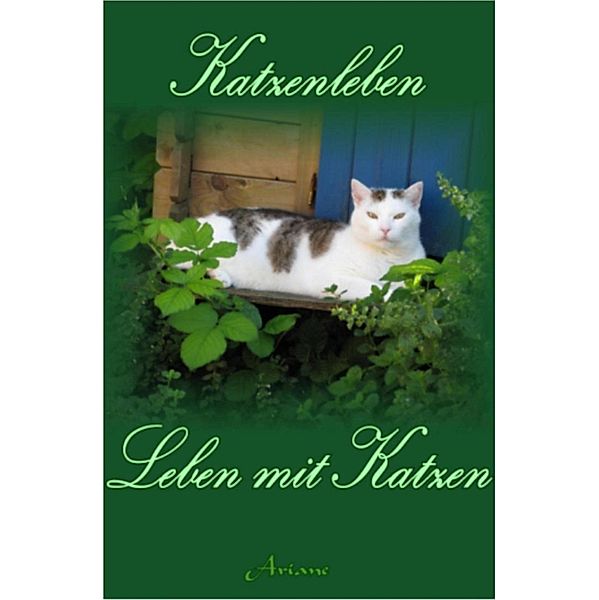 Katzenleben, Ariane47