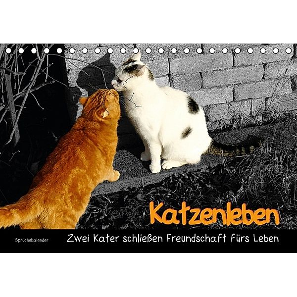 Katzenleben - Zwei Kater schließen Freundschaft fürs Leben (Tischkalender 2014 DIN A5 quer), Jana Thiem-Eberitsch