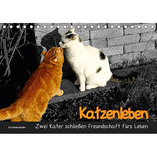 Katzenleben - Zwei Kater schließen Freundschaft fürs Leben (Tischkalender 2019 DIN A5 quer), Jana Thiem-Eberitsch