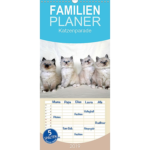 Katzenparade - Familienplaner hoch (Wandkalender 2019 , 21 cm x 45 cm, hoch), Jennifer Chrystal