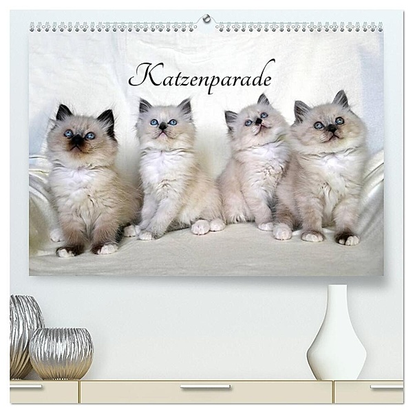 Katzenparade (hochwertiger Premium Wandkalender 2024 DIN A2 quer), Kunstdruck in Hochglanz, Jennifer Chrystal