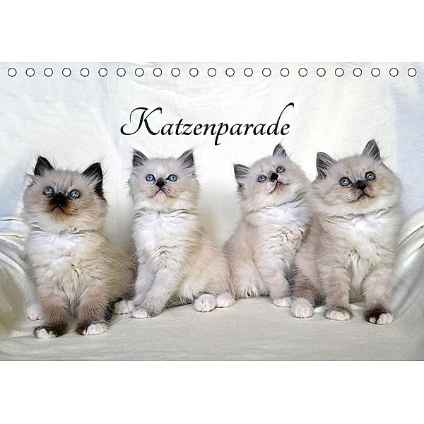 Katzenparade (Tischkalender 2021 DIN A5 quer), Jennifer Chrystal