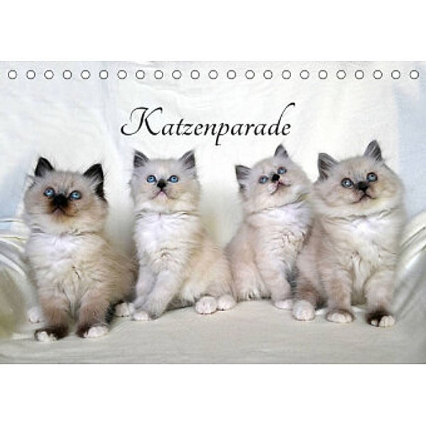 Katzenparade (Tischkalender 2022 DIN A5 quer), Jennifer Chrystal
