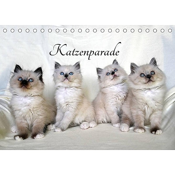 Katzenparade (Tischkalender 2023 DIN A5 quer), Jennifer Chrystal