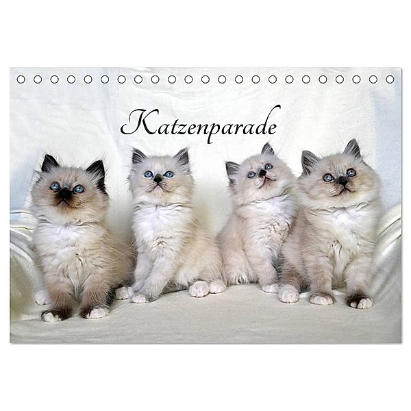 Katzenparade (Tischkalender 2024 DIN A5 quer), CALVENDO Monatskalender, Jennifer Chrystal