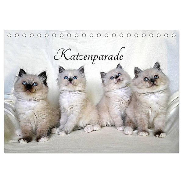 Katzenparade (Tischkalender 2025 DIN A5 quer), CALVENDO Monatskalender, Calvendo, Jennifer Chrystal