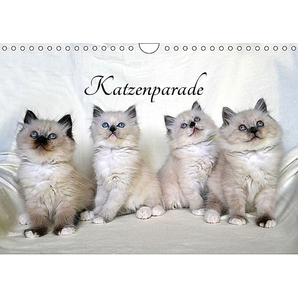 Katzenparade (Wandkalender 2018 DIN A4 quer), Jennifer Chrystal