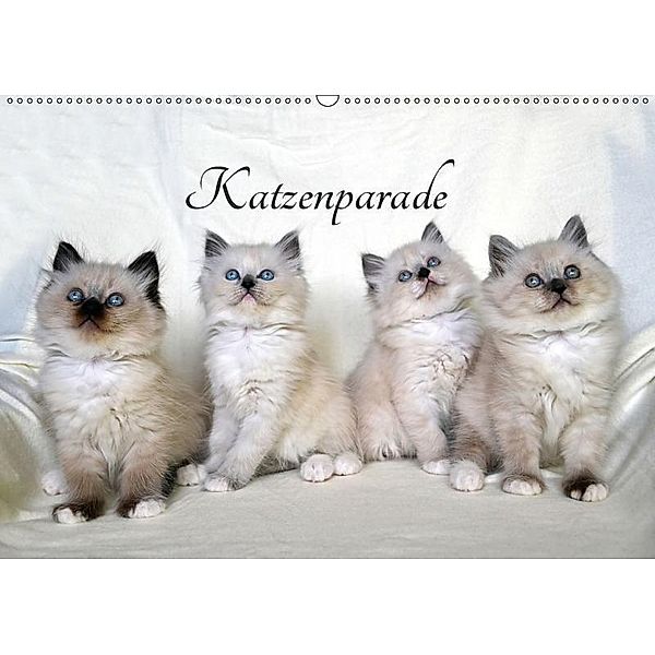 Katzenparade (Wandkalender 2019 DIN A2 quer), Jennifer Chrystal