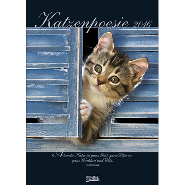 Katzenpoesie 2016