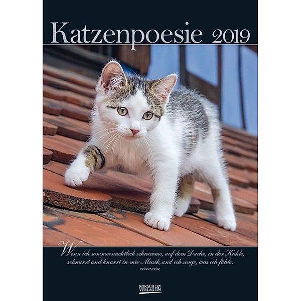 Katzenpoesie 2019