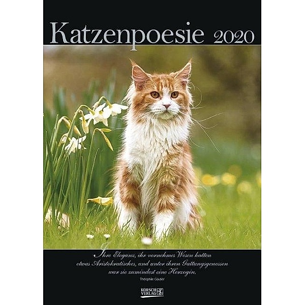 Katzenpoesie 2020