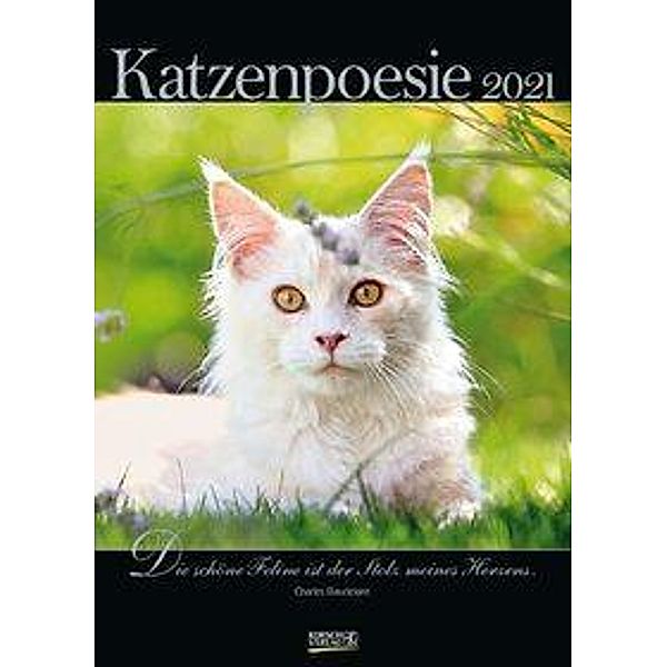 Katzenpoesie 2021