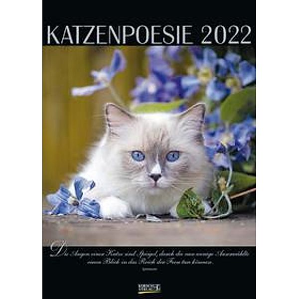 Katzenpoesie 2022