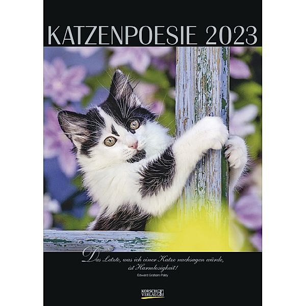 Katzenpoesie 2023