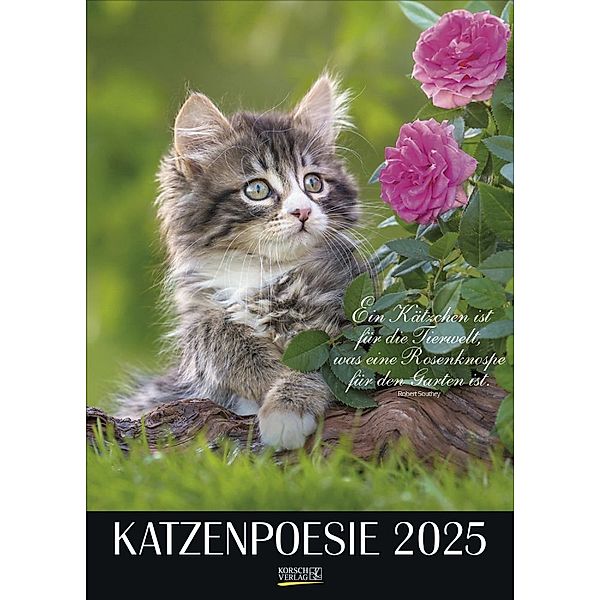 Katzenpoesie 2025