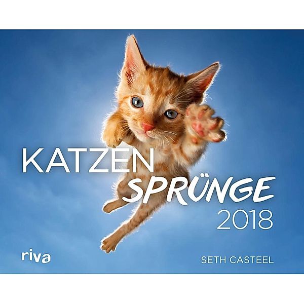 Katzensprünge 2018, Seth Casteel