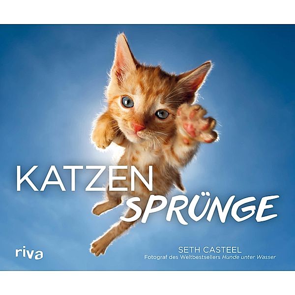 Katzensprünge, Seth Casteel