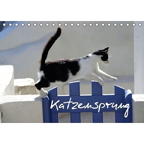 Katzensprung (Tischkalender 2015 DIN A5 quer), Alexandra Loos