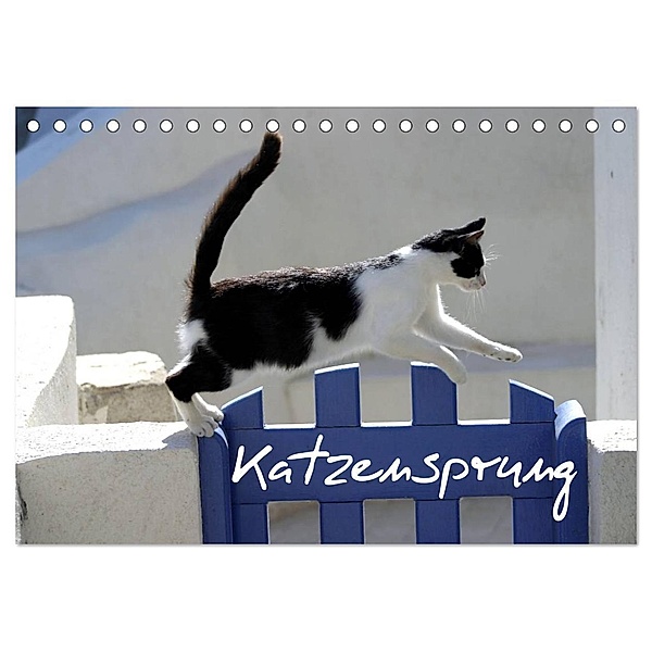 Katzensprung (Tischkalender 2024 DIN A5 quer), CALVENDO Monatskalender, Alexandra Loos - www.shabbyflair.de