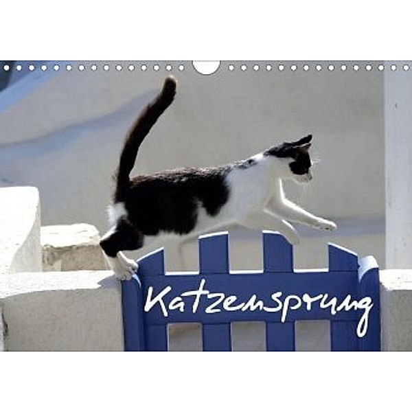 Katzensprung (Wandkalender 2020 DIN A4 quer), Alexandra Loos - www.shabbyflair.de