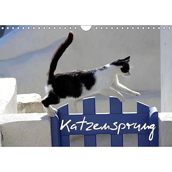 Katzensprung (Wandkalender 2021 DIN A4 quer), Alexandra Loos - www.shabbyflair.de