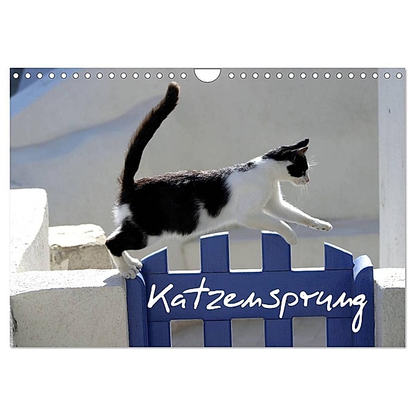 Katzensprung (Wandkalender 2024 DIN A4 quer), CALVENDO Monatskalender, Alexandra Loos - www.shabbyflair.de