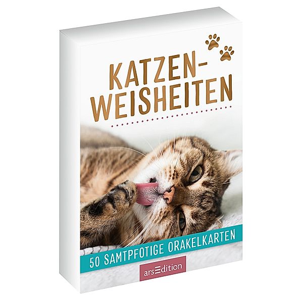 Katzenweisheiten