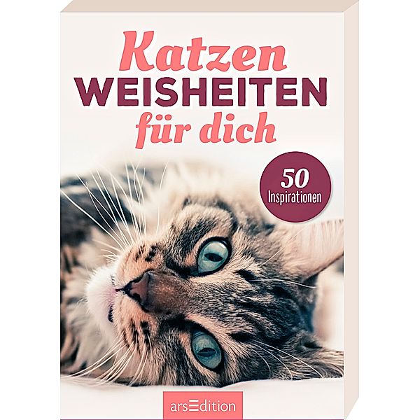 Katzenweisheiten für dich