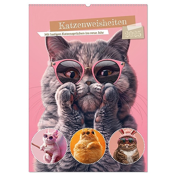 Katzenweisheiten (Wandkalender 2025 DIN A2 hoch), CALVENDO Monatskalender, Calvendo, Steffen Gierok-Latniak