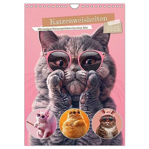 Katzenweisheiten (Wandkalender 2025 DIN A4 hoch), CALVENDO Monatskalender, Calvendo, Steffen Gierok-Latniak