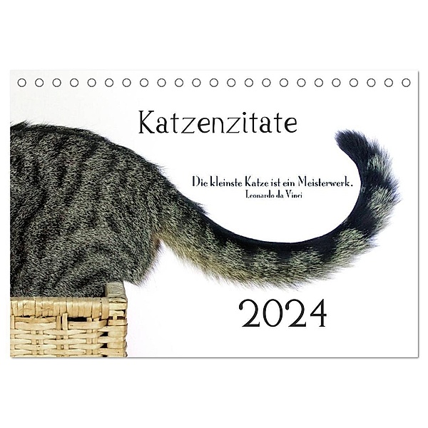Katzenzitate 2024 (Tischkalender 2024 DIN A5 quer), CALVENDO Monatskalender, Dogmoves