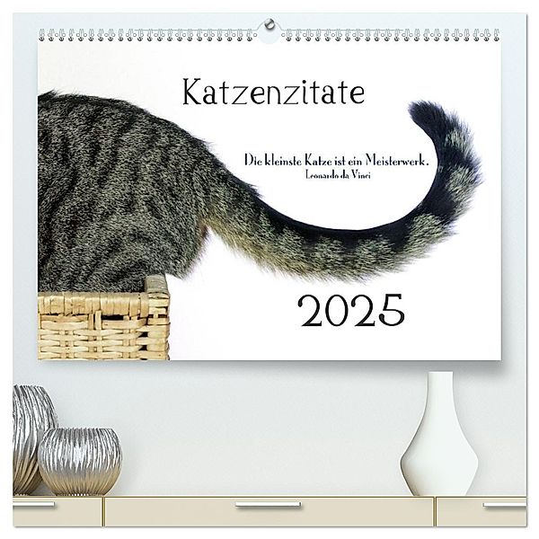 Katzenzitate 2025 (hochwertiger Premium Wandkalender 2025 DIN A2 quer), Kunstdruck in Hochglanz, Calvendo, Dogmoves